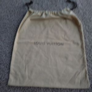 Louis vuitton purse bag